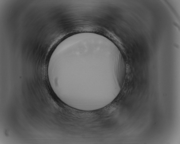 X0000091910012200710031028