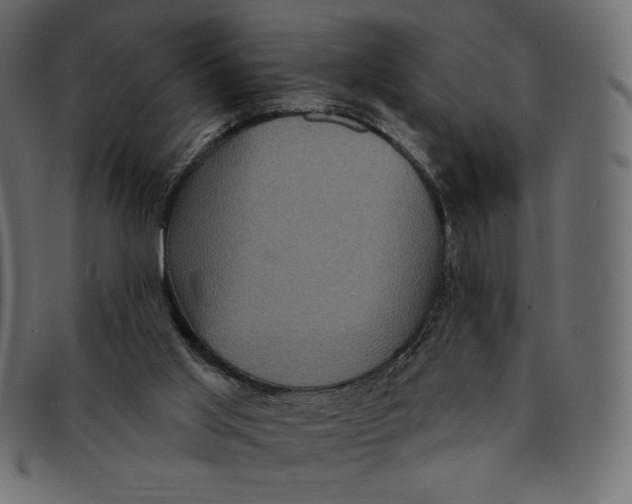 X0000091910013200710031028