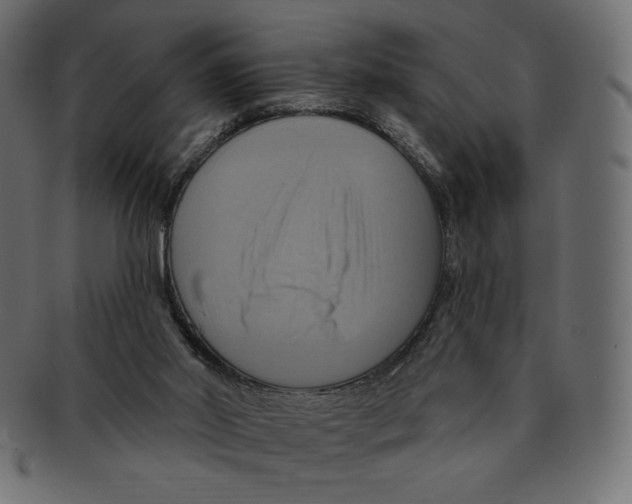 X0000091910014200710031028