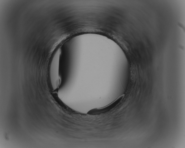 X0000091910015200710031028