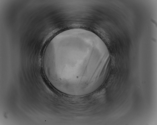 X0000091910016200710031028