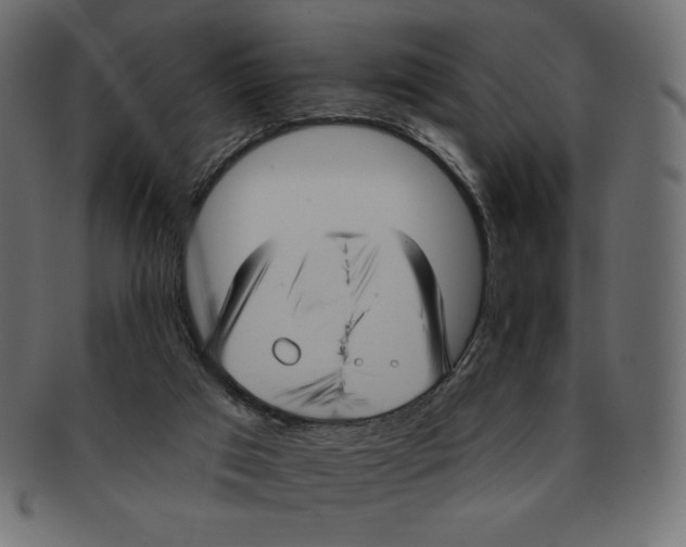 X0000091910017200710031028