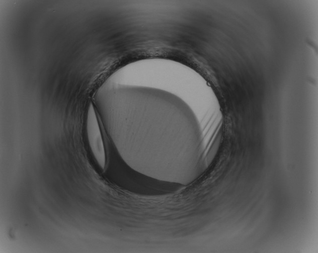 X0000091910018200710031028