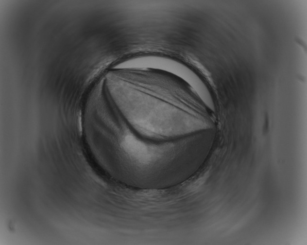 X0000091910020200710031028