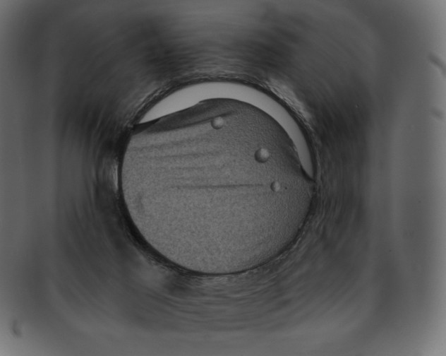 X0000091910021200710031028