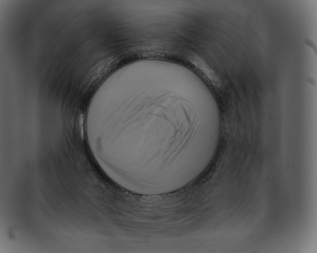 X0000091910022200710031028