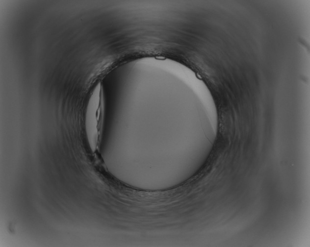 X0000091910023200710031028