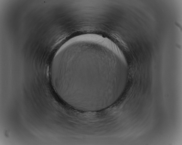 X0000091910024200710031028