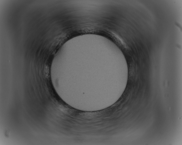 X0000091910025200710031028