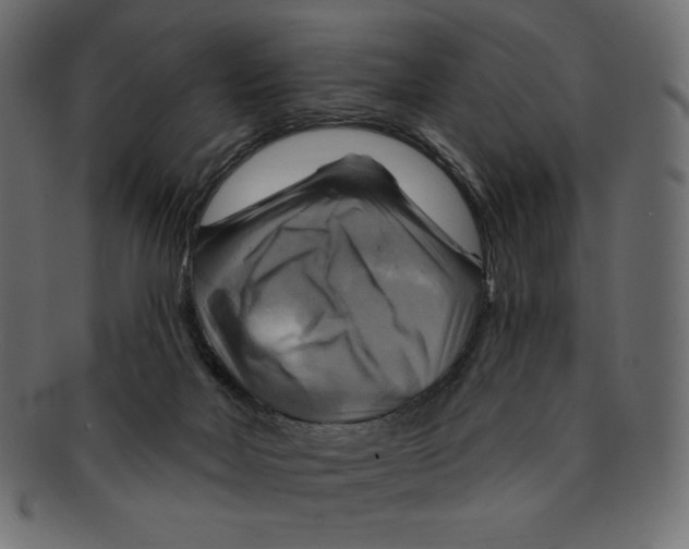 X0000091910026200710031028