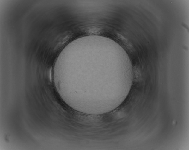 X0000091910028200710031028