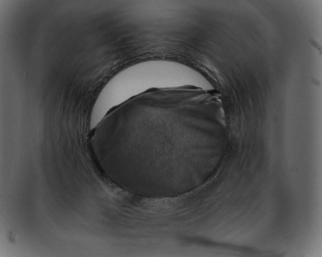 X0000091910029200710031028