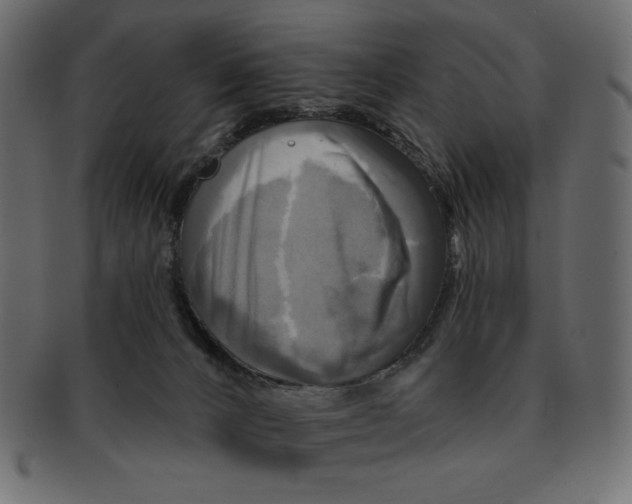 X0000091910032200710031028