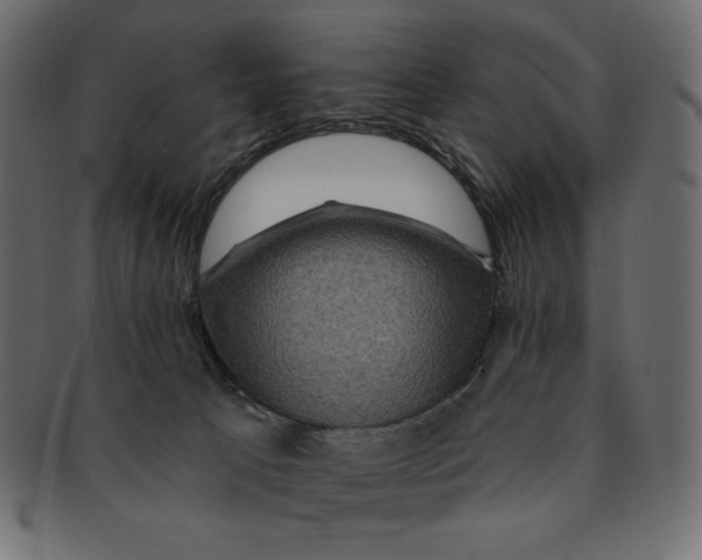 X0000091910033200710031028