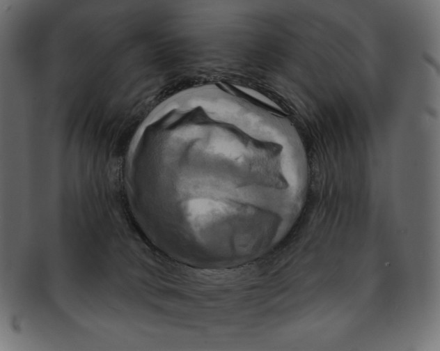 X0000091910034200710031028