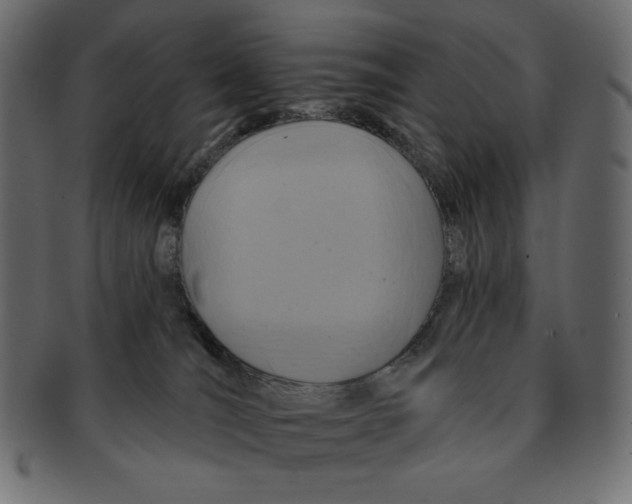 X0000091910036200710031028