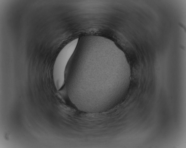 X0000091910037200710031028