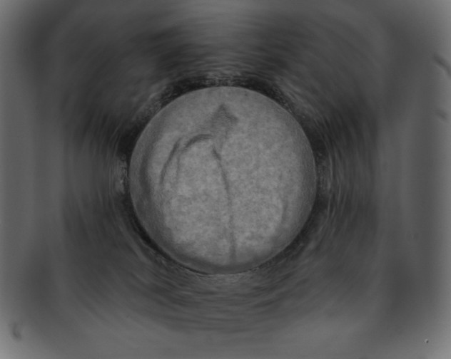 X0000091910038200710031028