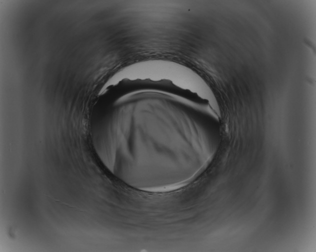 X0000091910039200710031028