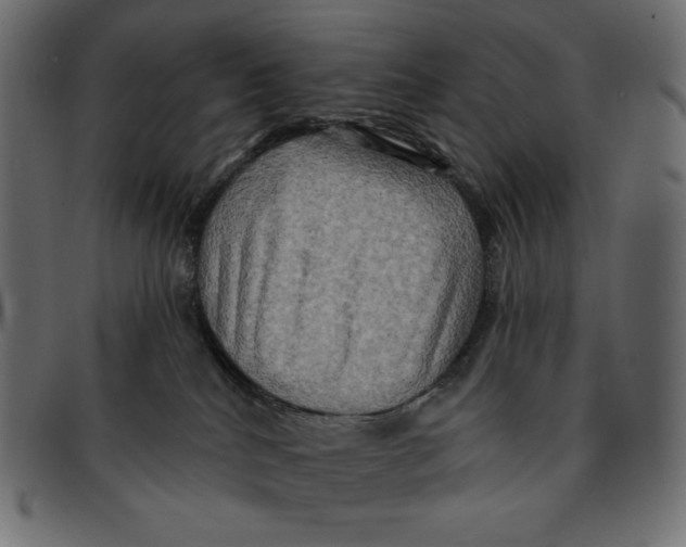 X0000091910040200710031028