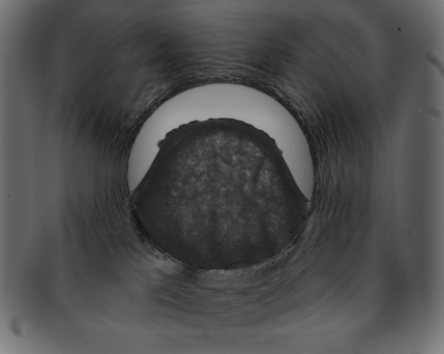 X0000091910041200710031028