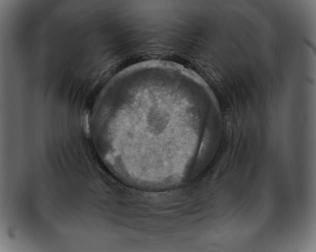 X0000091910042200710031028