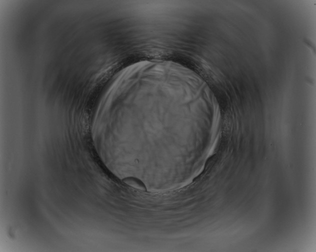 X0000091910043200710031028