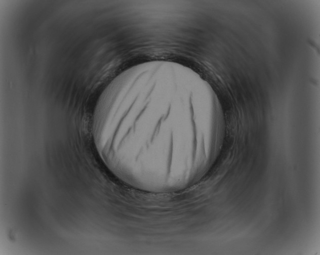 X0000091910044200710031028