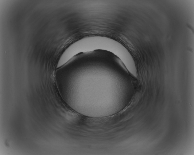 X0000091910045200710031028