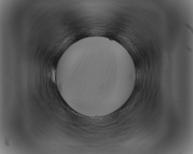 X0000091910046200710031028