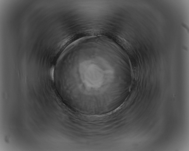 X0000091910047200710031028