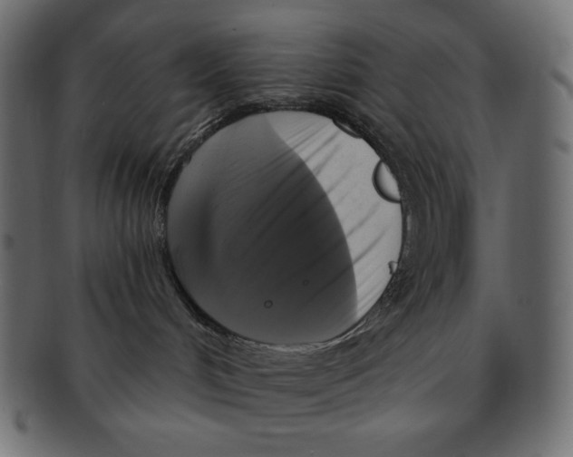 X0000091910048200710031028