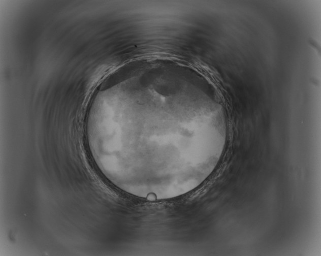 X0000091910049200710031027