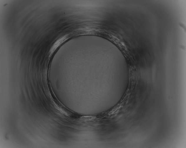 X0000091910051200710031027