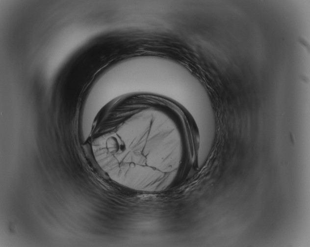 X0000091910052200710031027