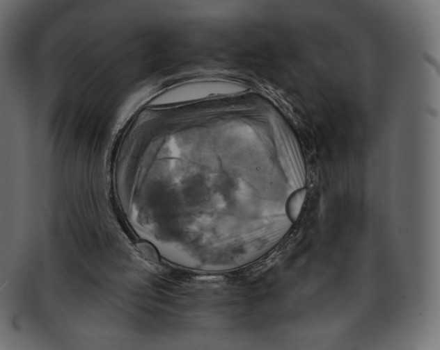 X0000091910053200710031027