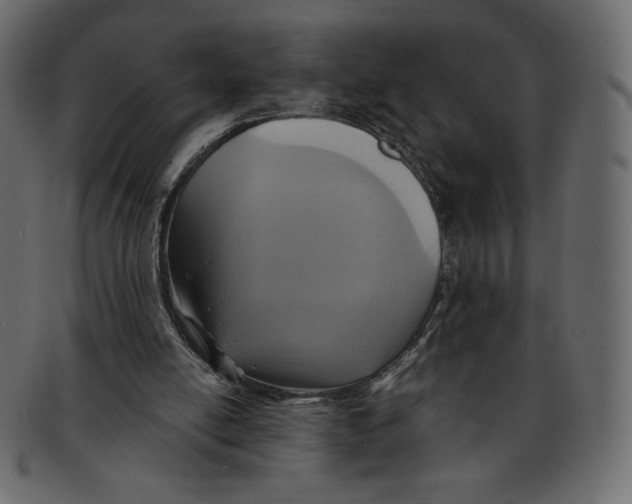 X0000091910054200710031027