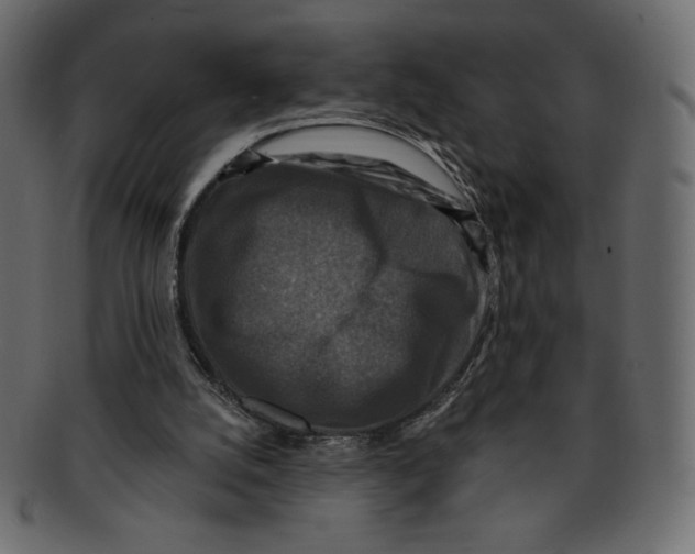 X0000091910056200710031027