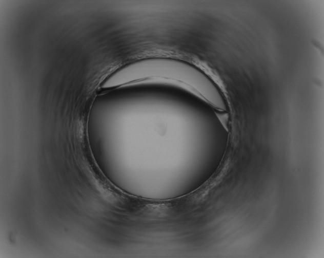 X0000091910057200710031027