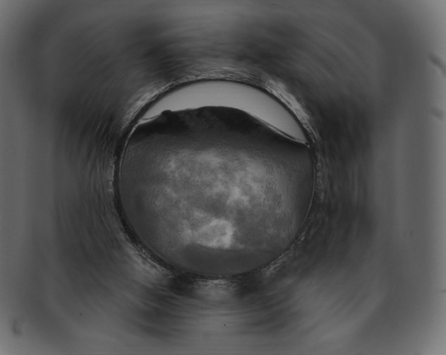 X0000091910058200710031027