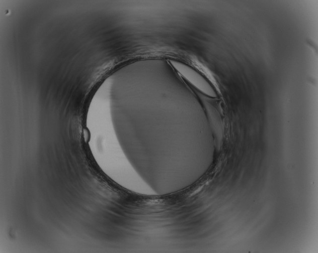 X0000091910059200710031027