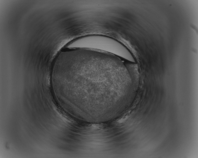 X0000091910060200710031027