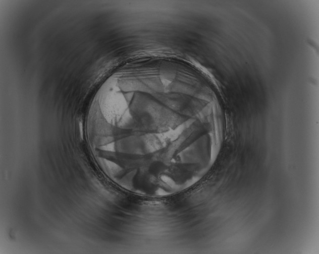 X0000091910061200710031027