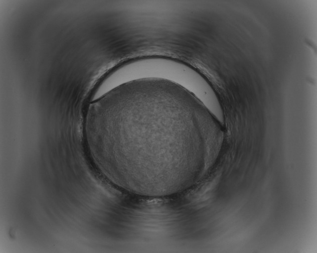 X0000091910064200710031027