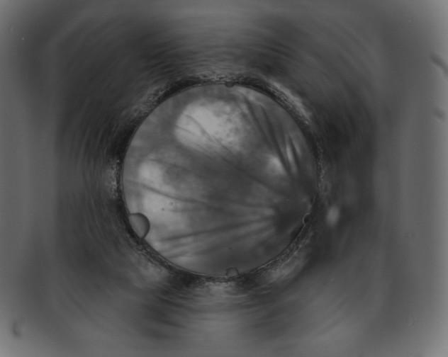 X0000091910065200710031027