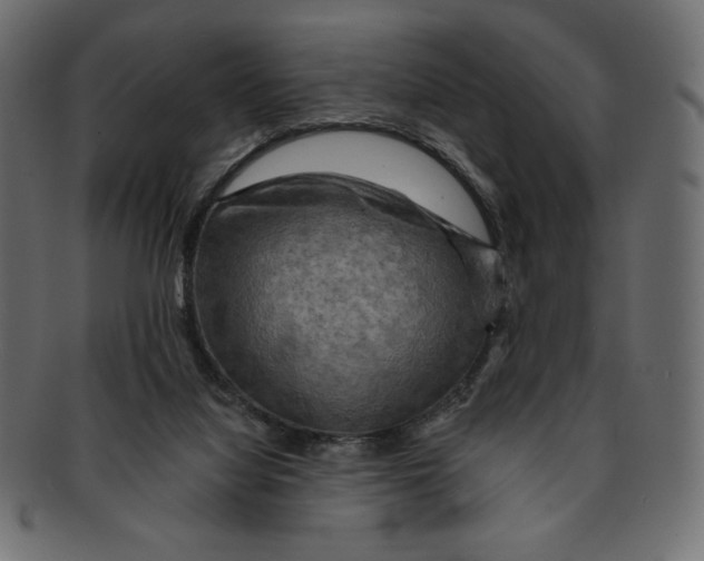 X0000091910068200710031027