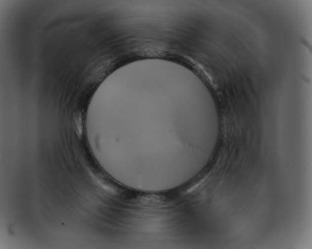 X0000091910069200710031027