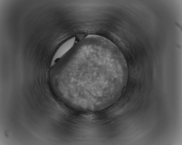 X0000091910071200710031027