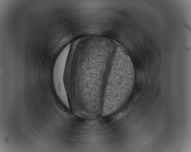 X0000091910072200710031027