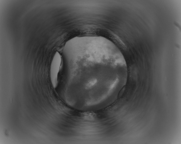 X0000091910073200710031027